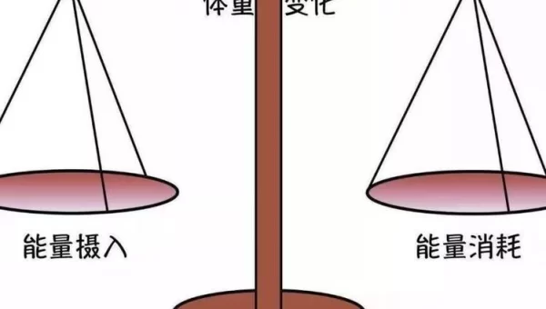 能量的平衡