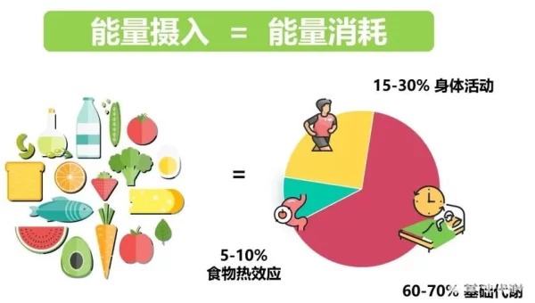能量的平衡